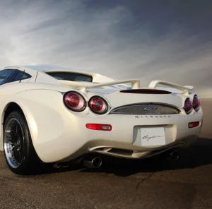 “mitsuoka orochi sports car back view”